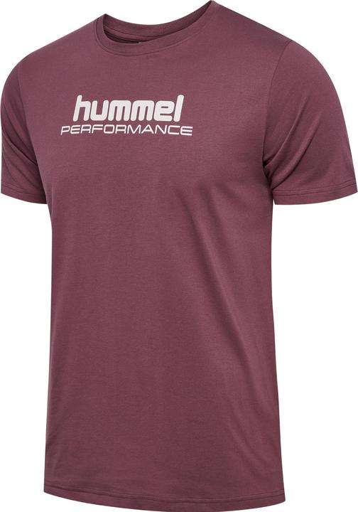 Lilac, Night, Nocturne