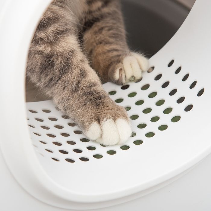 Produktbild Swisshandel24 Katzenklo (Katzenklo geschlossen)