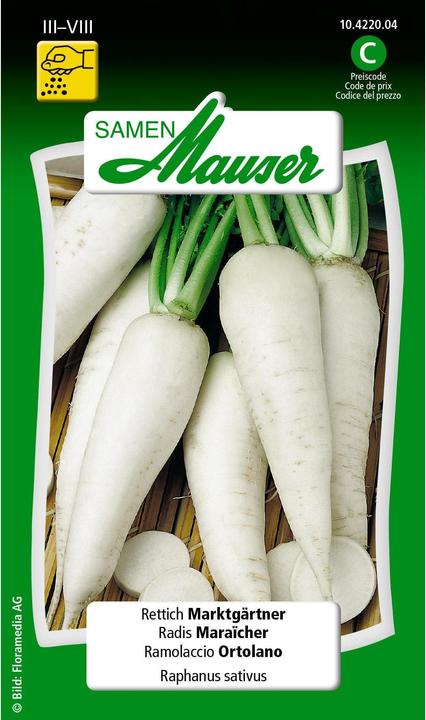Produktbild Samen Mauser Rettich Marktgärtner (Gemüsesamen)