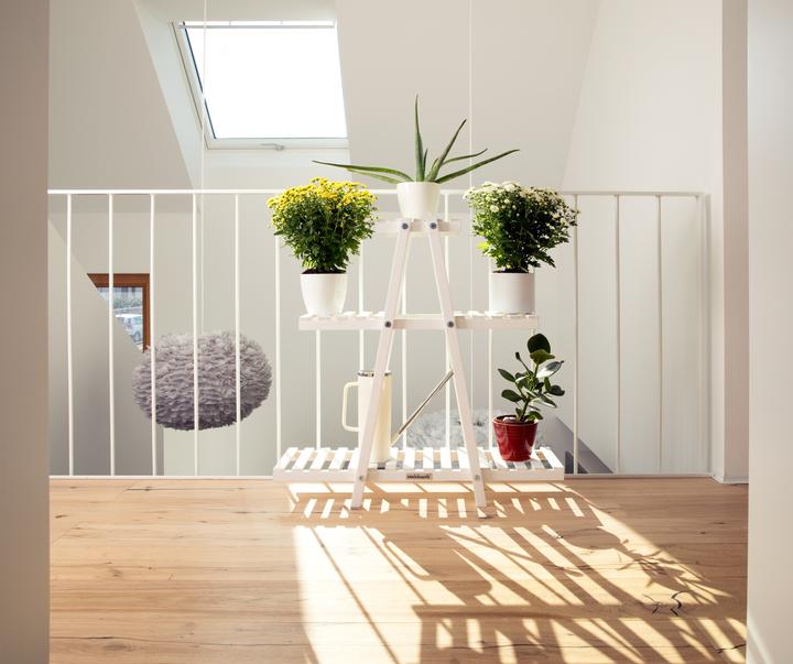 Image du produit Needs&Wants Blumenregal "Bloomy1" mit 3 Etagen, Fichte (weiss)