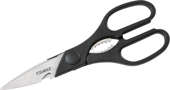 Actual product image Dahle Shears (21 cm)