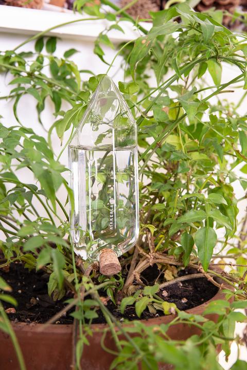 Image du produit Kikkerland L'eau d'un cristal (Boules d'arrosage)