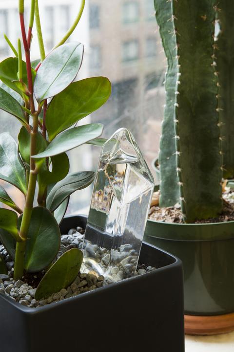 Image du produit Kikkerland L'eau d'un cristal (Boules d'arrosage)
