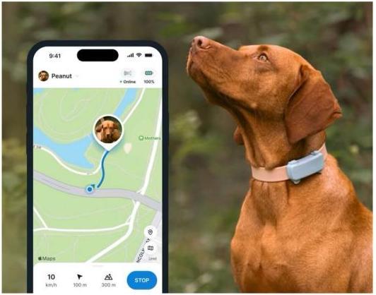 Immagine prodotto Tractive GPS Tracker Dog 6 (Cane)