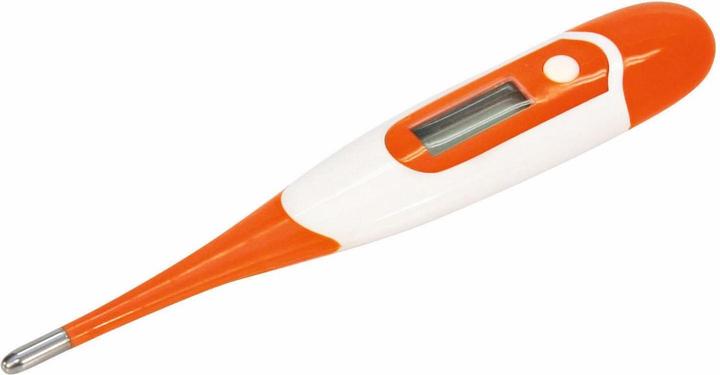 Immagine prodotto Kerbl Termometro clinico (Ascella, Orale, Rettale)