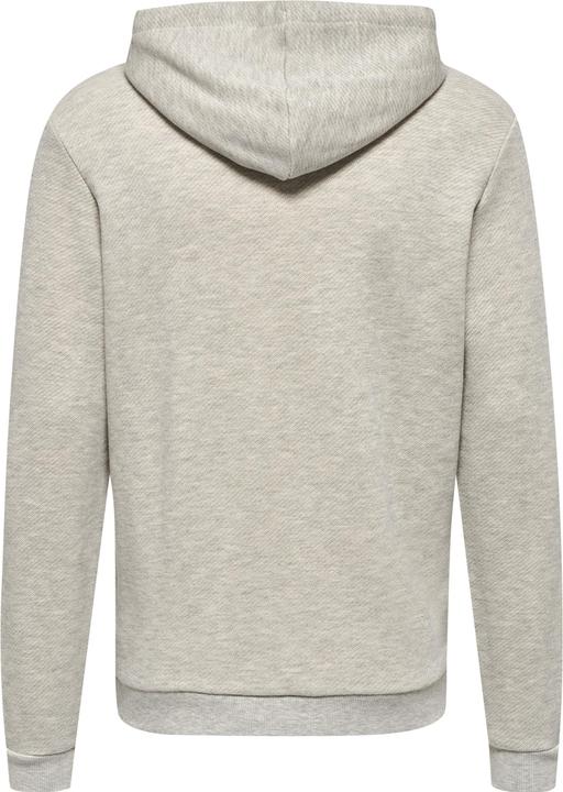 Actual product image hummel Lgc Austin Hoodie (XS)