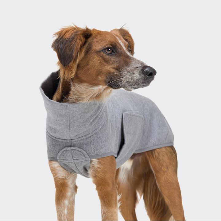 Actual product image Cloud 7 Dog Sweater Dorset (7, Dog jumper)