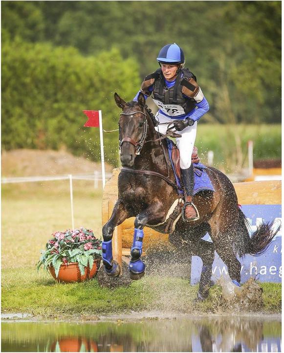 Immagine prodotto Qhp Ghette da gara Q-Cross Technical Hind Leg