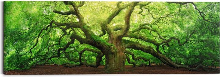 Reinders Old Oak (40 x 118 cm)