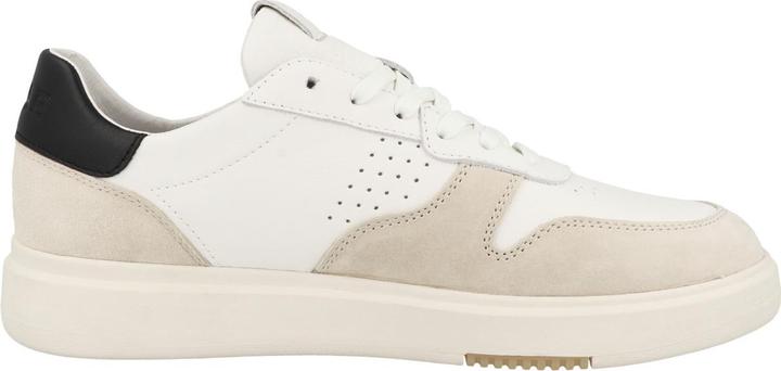 Actual product image Clae Moses (41)