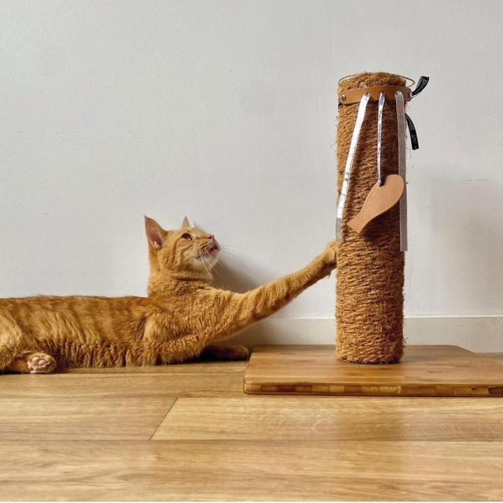 Produktbild Martin Kattenspeelgoed Leana Kicker Met Catnip Gerecycled Assorti - 45X6,5X2 Cm (Katzenminzespielzeug)