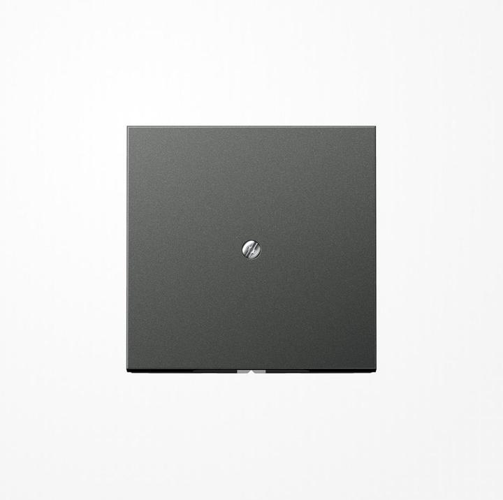 Actual product image JUNG Insert for cable outlet LS anth mt Screw position AL2990AAN