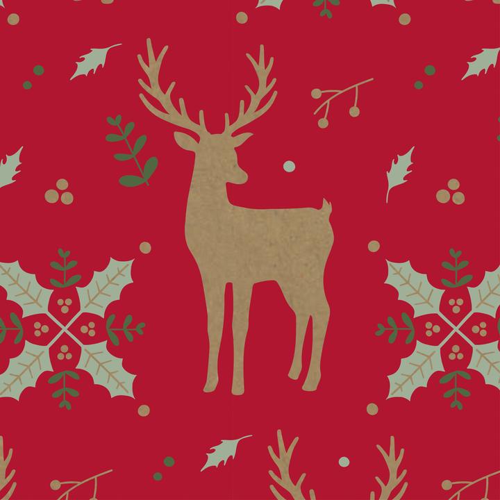 Image du produit Clairefontaine Offre professionnelle (24x)