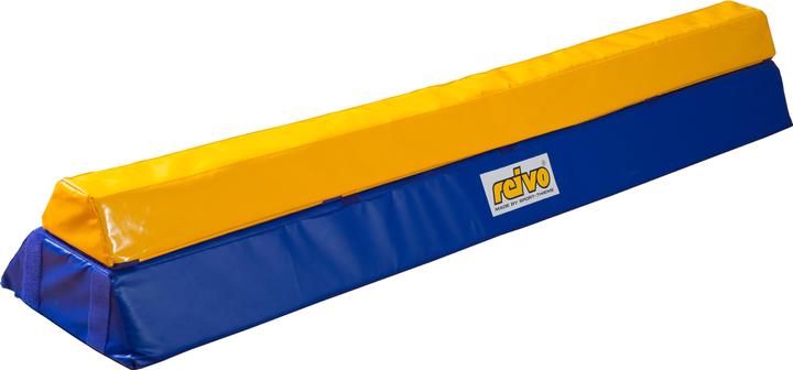 Actual product image Reivo Rinogym balance beam