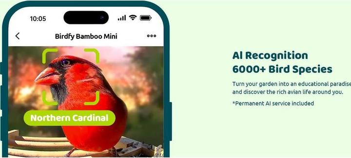 Produktbild Birdfy Futterspender FSC Bambus Mini Solar