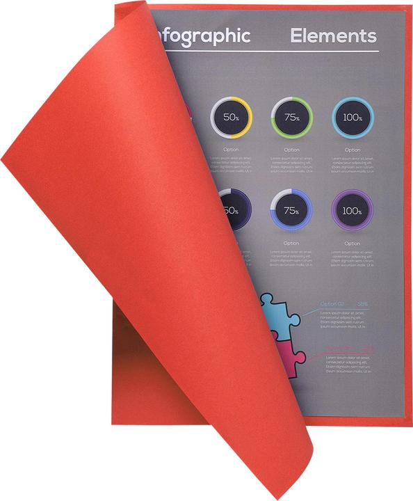 Immagine prodotto Exacompta Sammelmappen (A4, 100x)