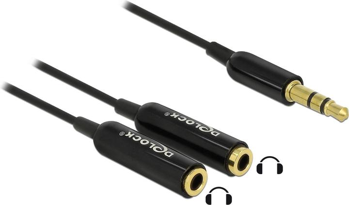 Immagine prodotto Delock Spina jack audio del cavo > 2 x presa jack (0.25 m, Connettore da 3,5 mm (AUX))