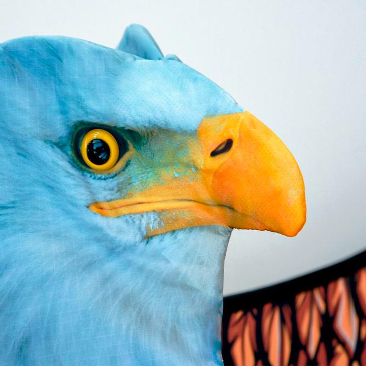 Actual product image Mikamax 3D Eagle Kite