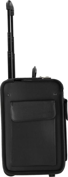 Actual product image Dermata were synthetic pilot case 50cm (52 l)