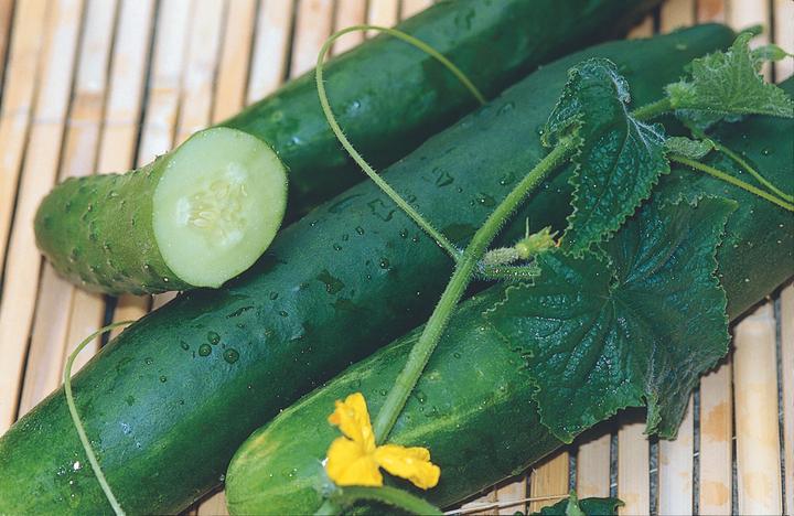 Actual product image Zollinger Bio Cucumber, Tanja