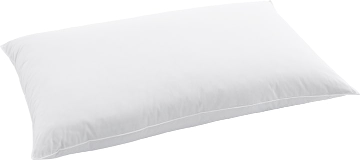 Actual product image Swiss Dream by billerbeck Pillow (60 x 90 cm)