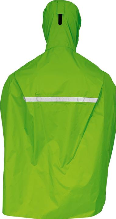 Actual product image PRO-X elements Xplus Pasino (116)