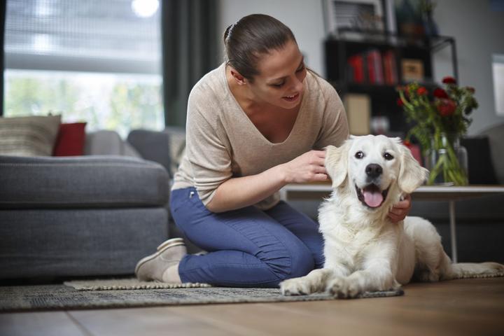 Produktbild Philips FC8242/09R1