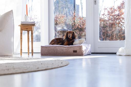 Produktbild Designed by Lotte Ribbed (Hund)