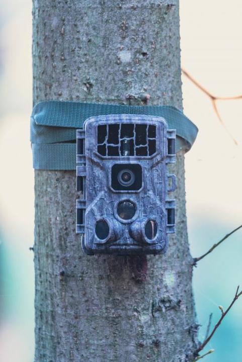 Produktbild Braun Photo Scouting Cam Black400 WiFi 4K