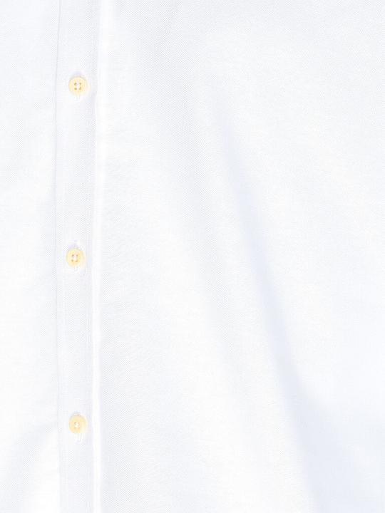 Image du produit Gottseidank Eddy (XL)