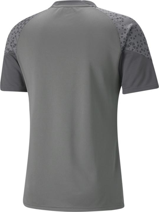 Actual product image Puma teamCUP Training Jersey (XL)
