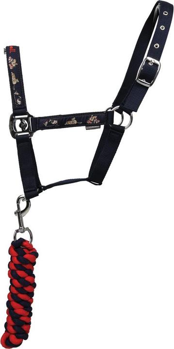 Immagine prodotto Thelwell Practice Makes Perfect Cavezza e Guinzaglio per Cavallo