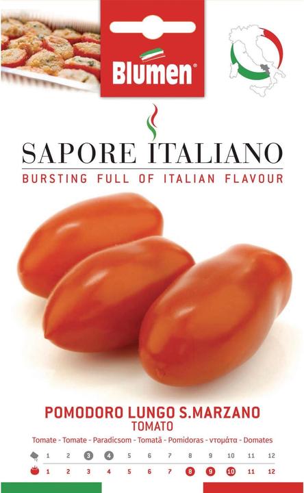 Image du produit Blumen Tomate Lungo San Marzano (Graines de légumes)