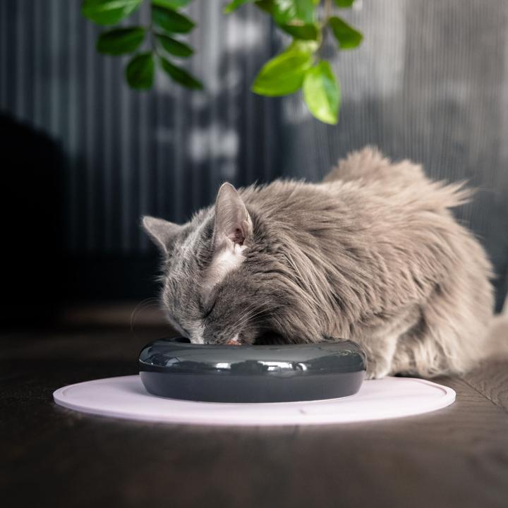 Image du produit LucyBalu DROP Katzennapf