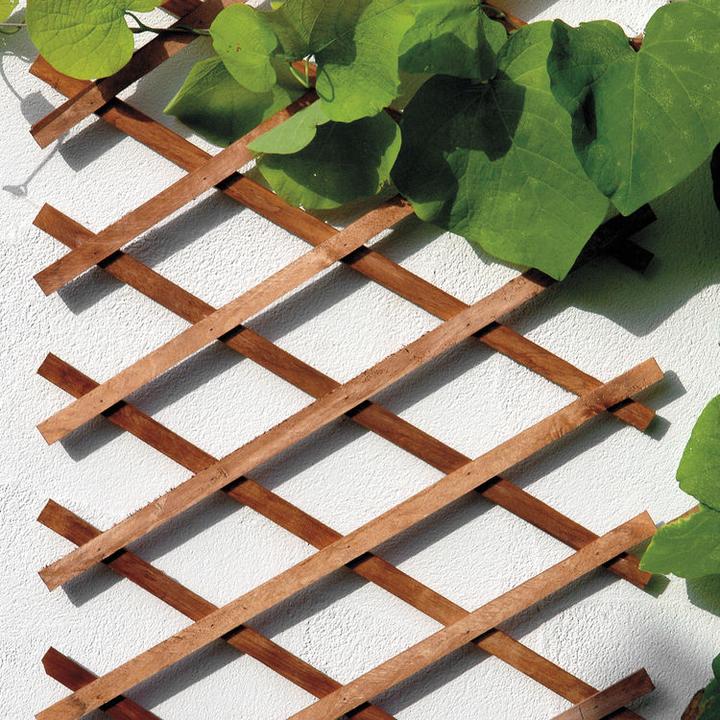 Actual product image Bellissa Wooden Scissors Trellis (45 cm, 45 cm)