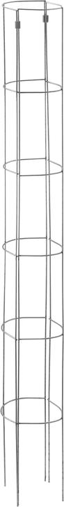 Actual product image Bellissa Tomato Tower (12 cm, 12 cm)
