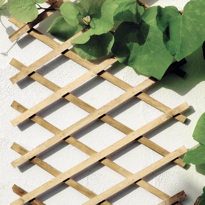 Actual product image Bellissa Wooden Scissors Trellis (90 cm, 90 cm)