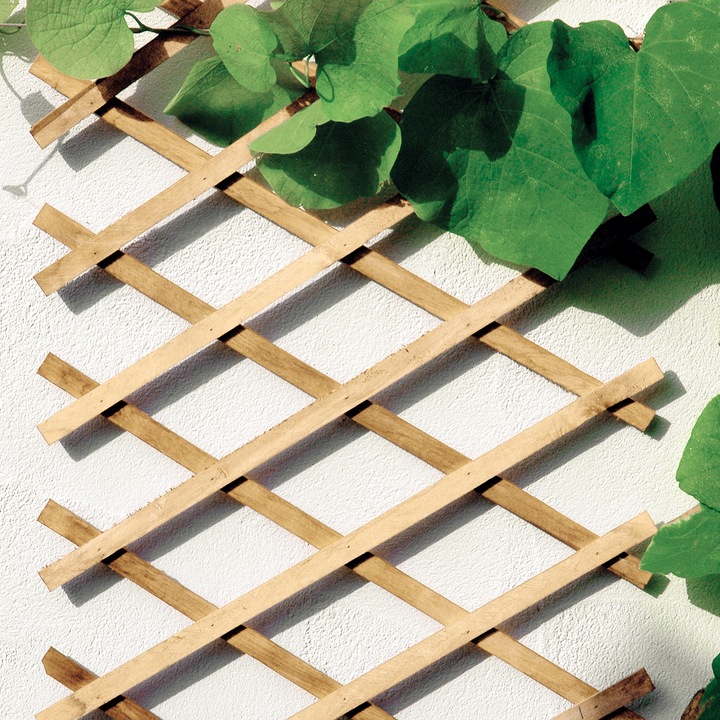 Bellissa Wooden Scissors Trellis (90 cm, 90 cm)