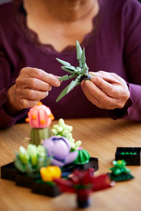 Image du produit LEGO Les succulentes (10309, LEGO Botanical, LEGO difficiles à trouver)
