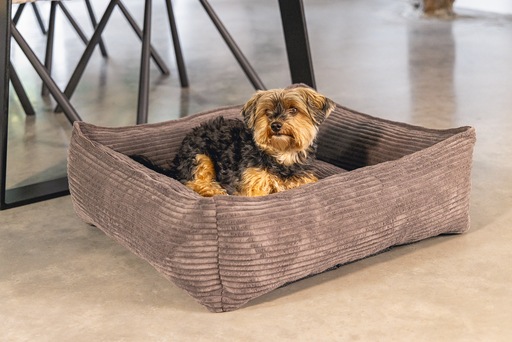 Actual product image Designed by Lotte Ribbed (Dog)