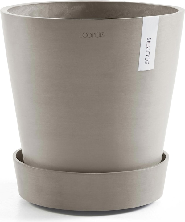 Actual product image Ecopots Saucer on Wheels