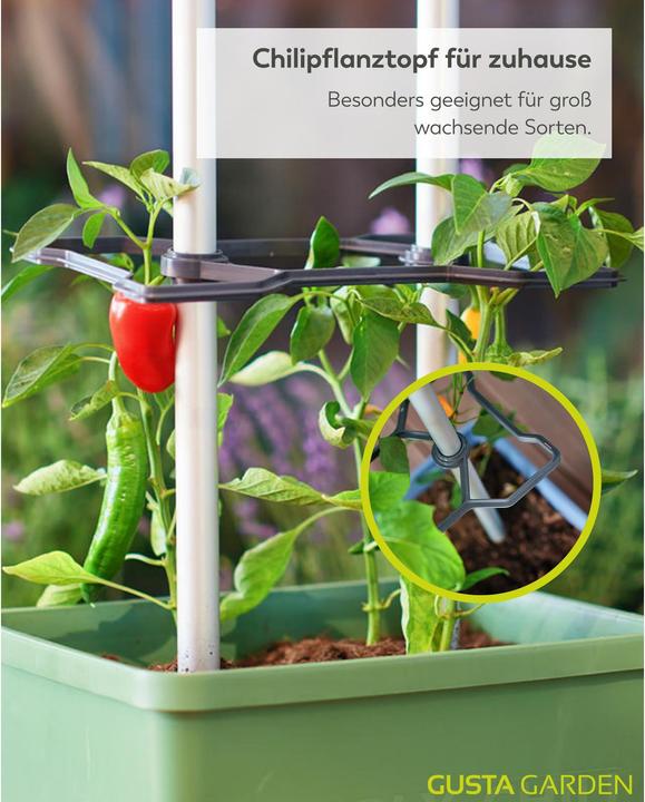 Actual product image Gusta Garden Growing pots Charly Chilli XL Dark green
