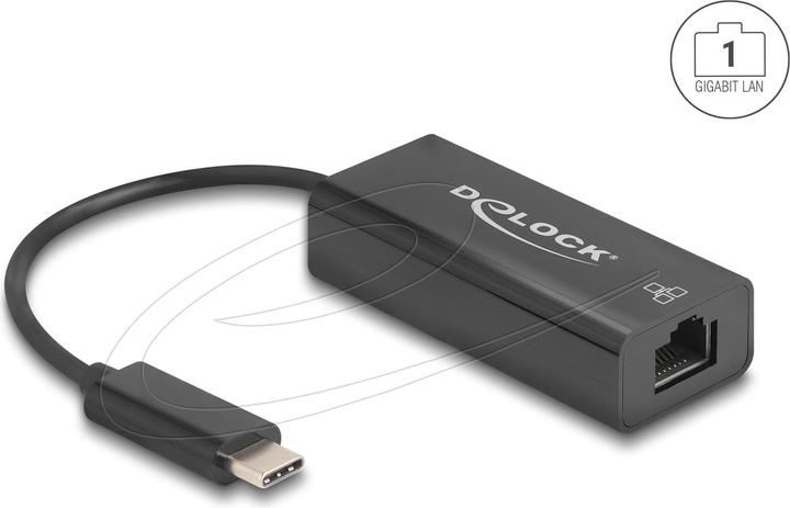 Delock USB 2.0 Type-C Adapter zu 10/100 Mbps LAN (USB-C, RJ45 (1x))