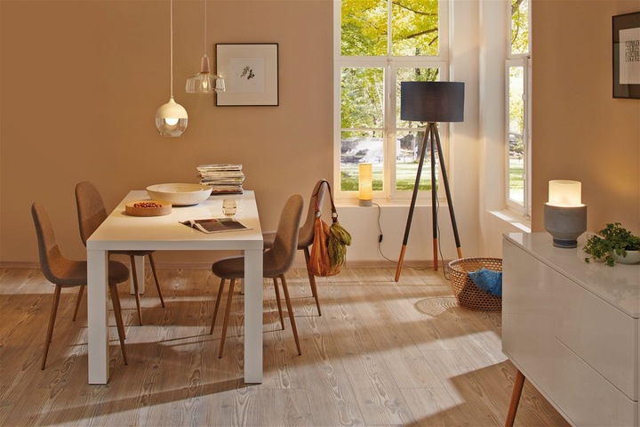 Produktbild Paulmann Neordic Rurik (E27)