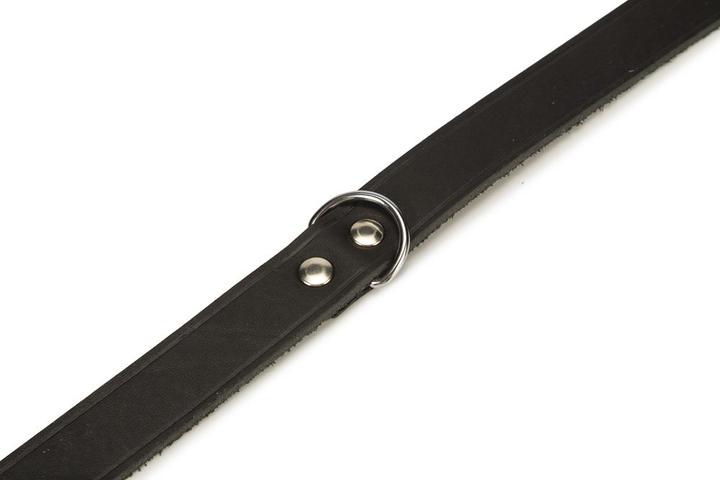 Produktbild Beeztees BZ LEDERHALSBAND SCHWZ 70X25 (Hund, Allgemein)