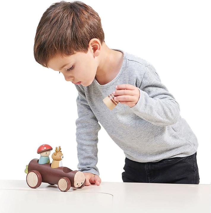 Produktbild Tender Leaf Toys Baumstammtaxi