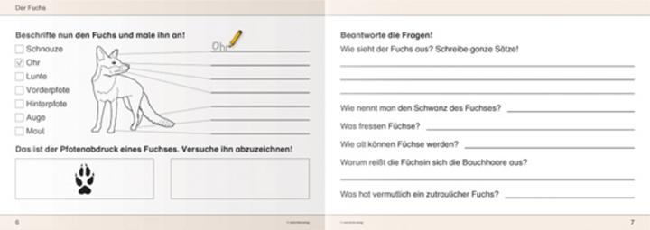 Produktbild Ich kenne Waldtiere - Schülerarbeitsheft für die 2. bis 4. Klasse (Deutsch, Katrin Langhans, 2012)