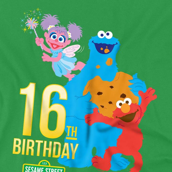 Produktbild Sesame Street TShirt 16. Geburtstag (XXL)