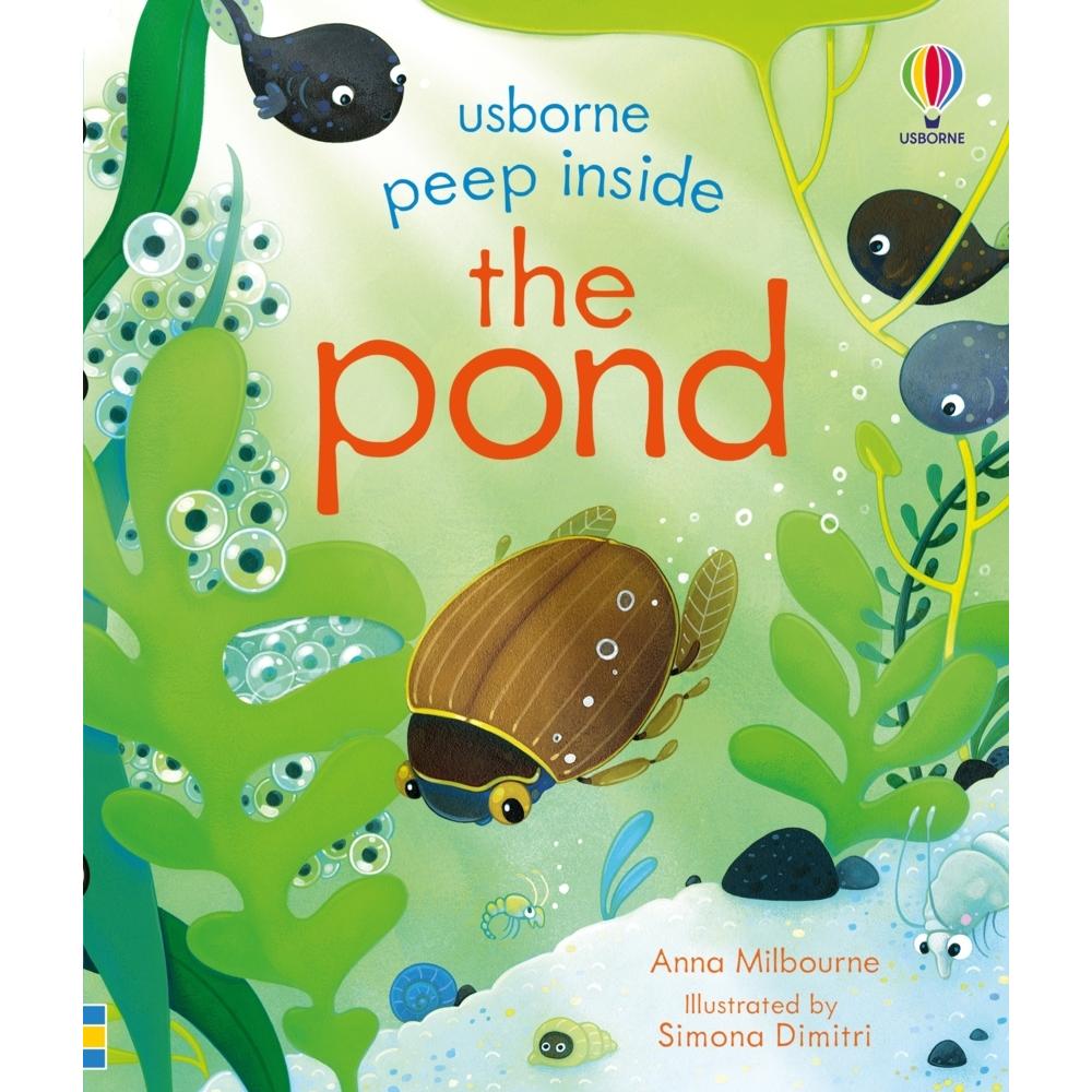 Milbourne:Peep Inside the Pond, Kinderbücher von Anna Milbourne, Simona Dimitri