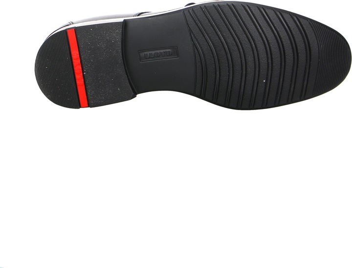 Image du produit Lloyd chaussures de travail (46)